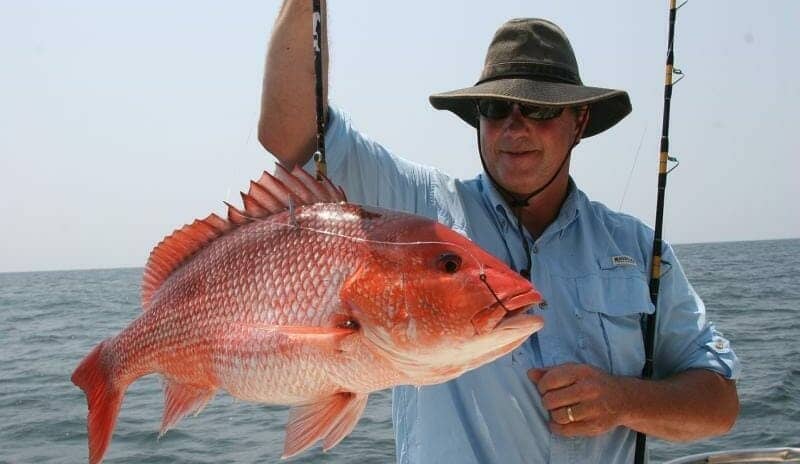What Folks Got Wrong About Gulf of Mexico Red Snapper Leisure Fishing Data