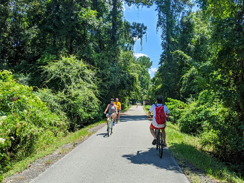 Best Bike Trail Near Nola? Tammany Trace
