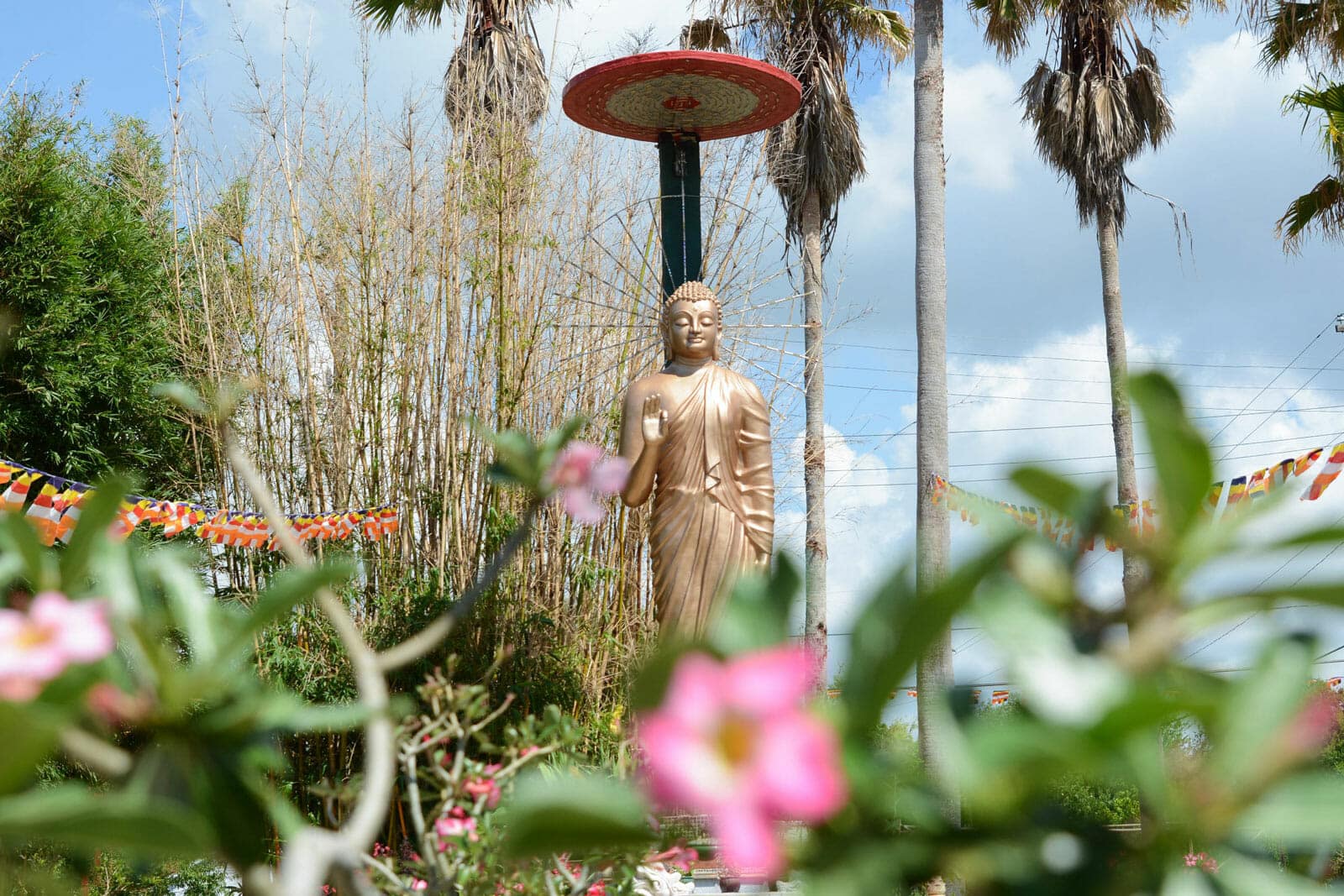 Buu Mon Garden Festival Buu Mon Garden Festival