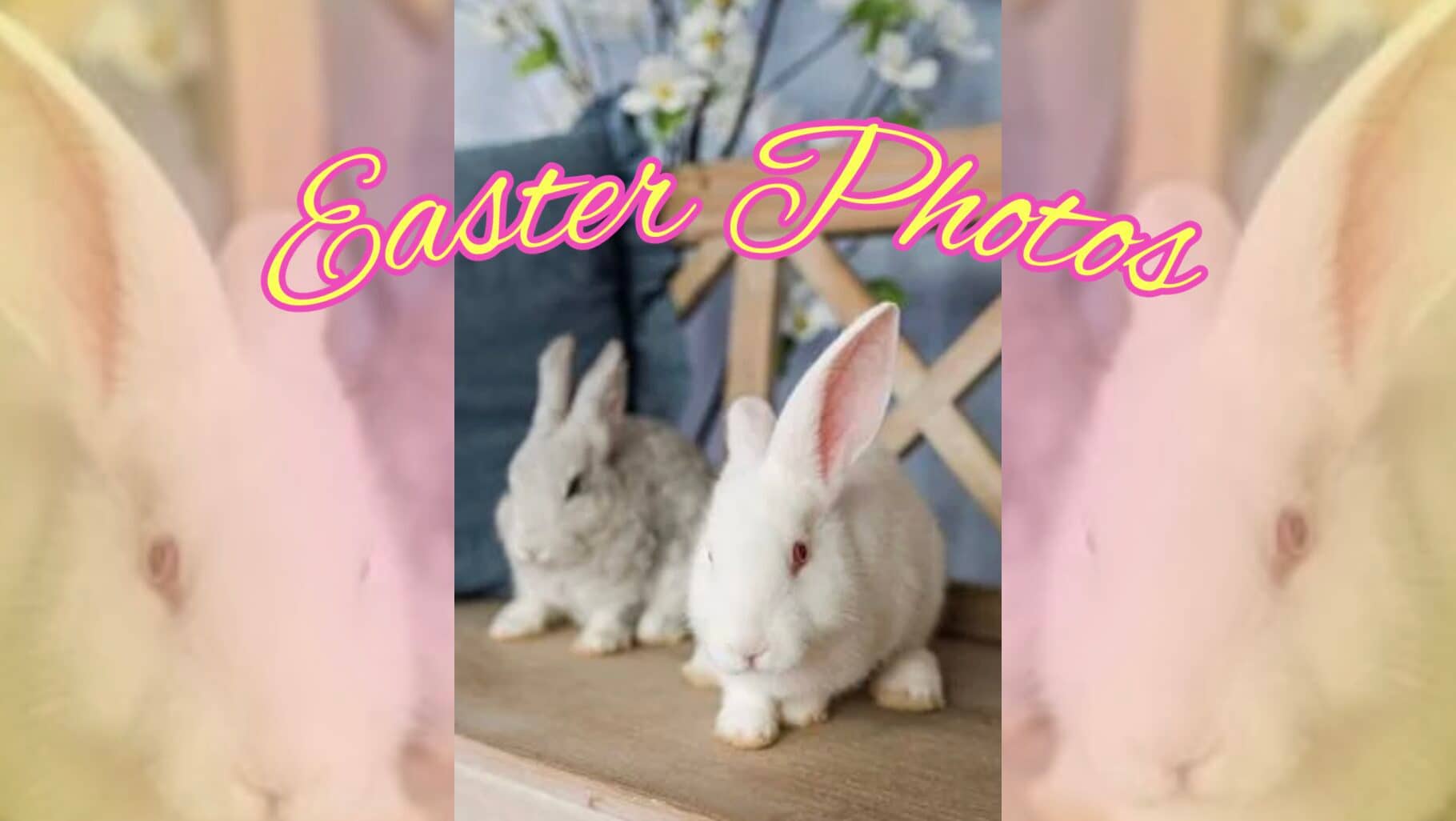 Easter Photos Easter Photos