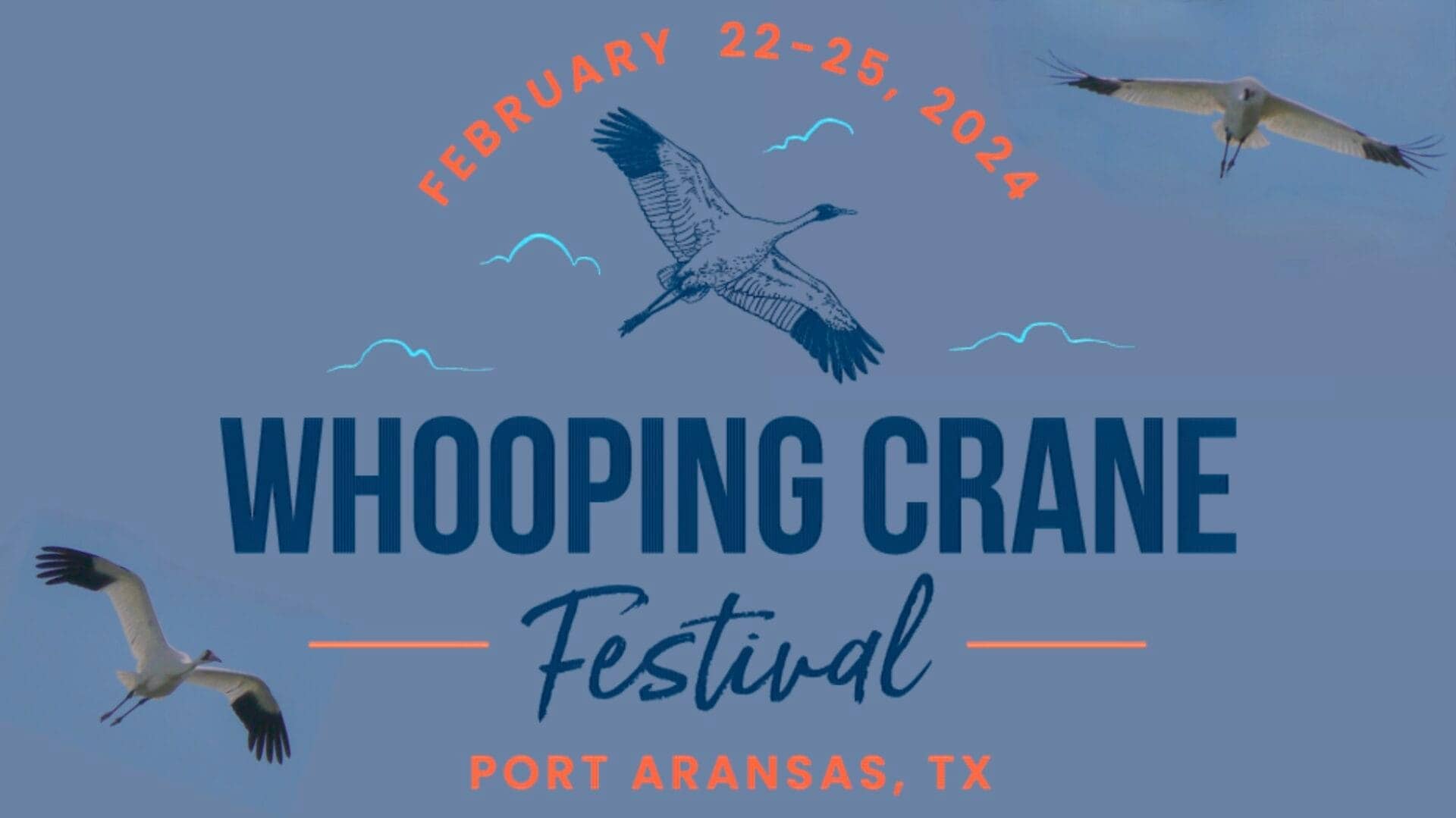 Port Aransas Whooping Crane Festival 2024 Dates - Peg Leanna