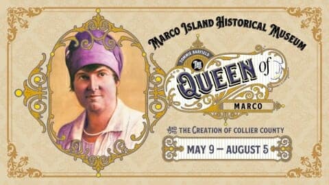 The Queen’s Gambit: The Story of Tommie Barfield The Queen’s Gambit: The Story of Tommie Barfield