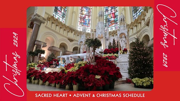 Christmas at Sacred Heart Tampa