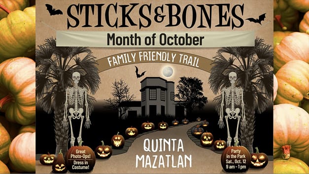 Sticks & Bones
