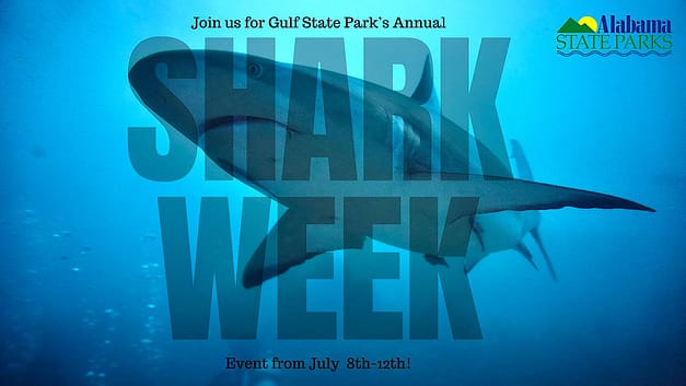 Gulf State Park Shark Week