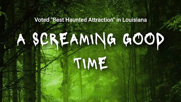 Lost Hollows & Lights Out Halloween