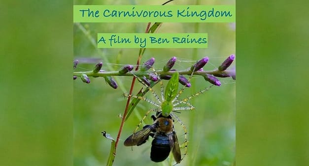 ’The Carnivorous Kingdom‘ Premiere