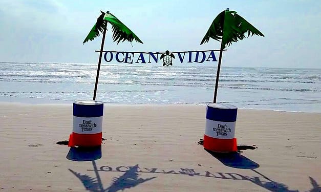 Ocean Vida Beach Cleanup – Padre Island