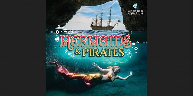 Mermaids & Pirates Dive Show