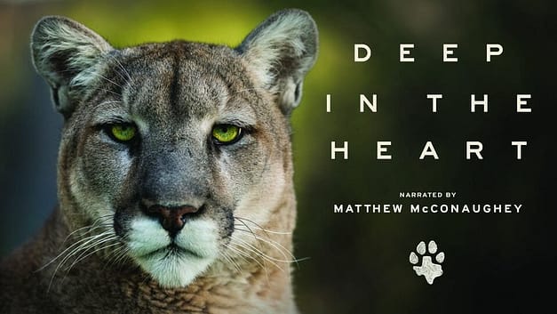 ‘Deep in the Heart’ Film Showing at HRI in Corpus Christi