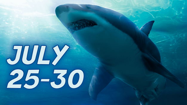 Shark Week in Beaumont