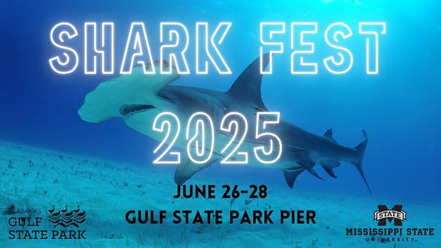 Shark Fest at Gulf State Park
