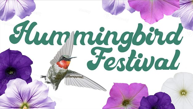 Hummingbird Festival