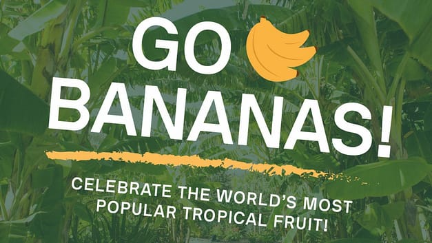Go Bananas! Celebrate the World’s Most Popular Tropical Fruit