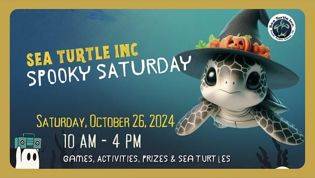 Spooky Saturday at Sea Turtle, Inc.