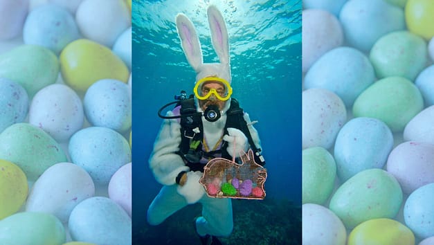 Underwater Easter Bunny Dive & Snorkel