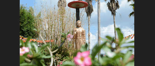 Lotus Festival in Port Arthur