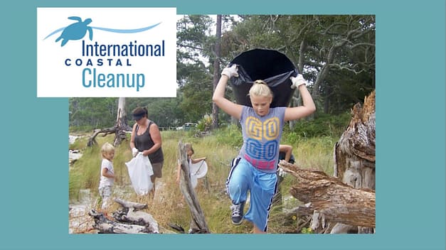 Franklin Co. Coastal Cleanup