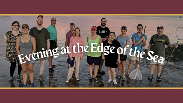 Evening at the Edge of the Sea – FSU Coastal & Marine Lab
