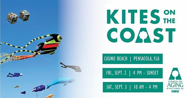 Kites on the Coast
