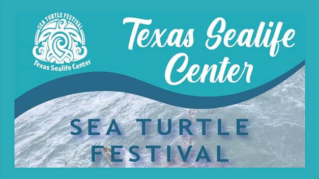 Sea Turtle Trot & Festival