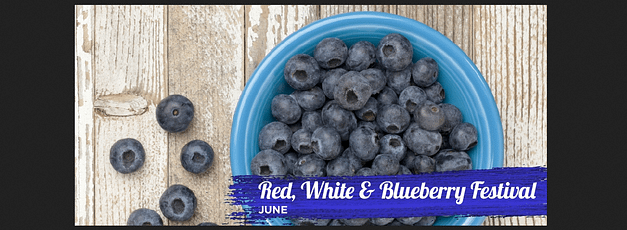 Ocean Springs Red, White & Blueberry Festival