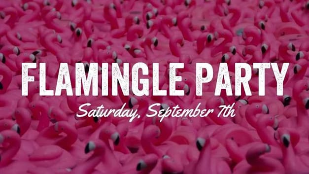 Flamingle Party!