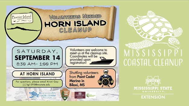 Horn Island Cleanup