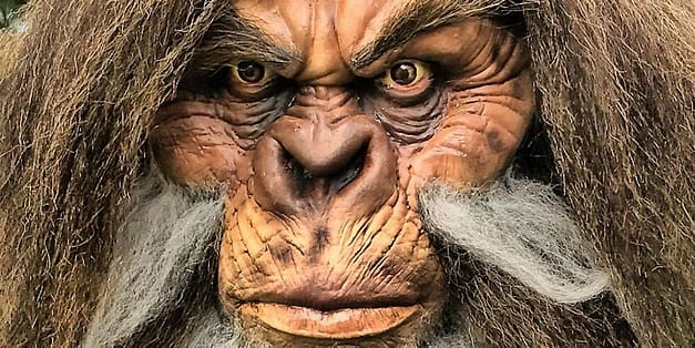 Camp Skunk Ape at Skunk Ape HQ