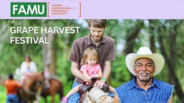 FAMU Grape Harvest Festival