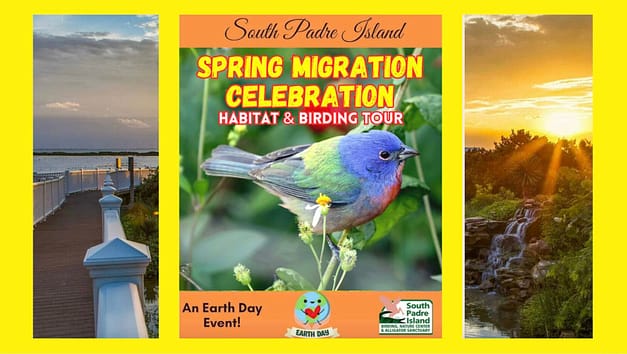Spring Migration Celebration & Tour