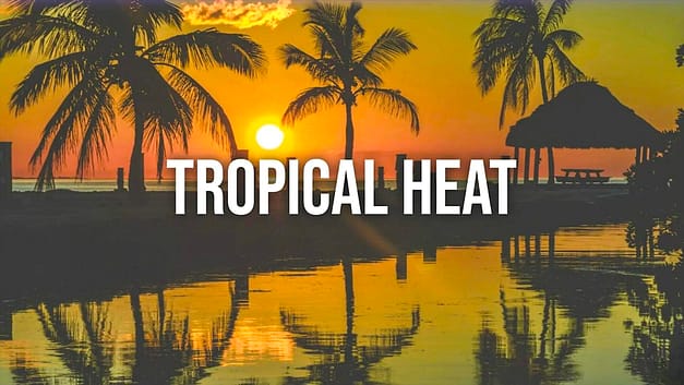 Key West Tropical Heat