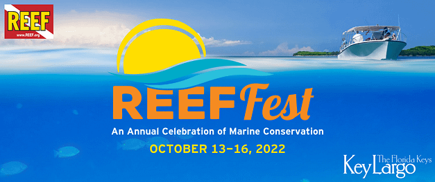 REEF Fest 2022: A Marine Conservation Celebration