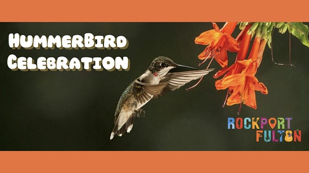 HummerBird Celebration