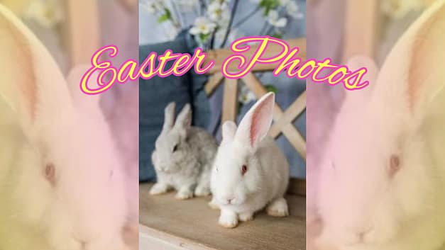 Easter Photos