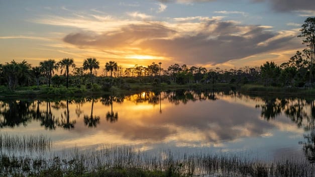Sunset Wednesdays at Naples Botanical