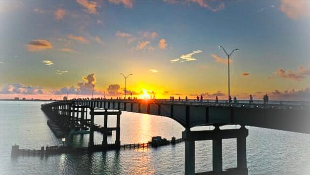 Causeway Run & Fitness Walk