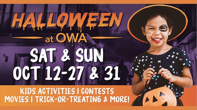 Halloween at OWA