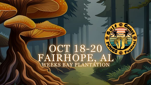 Gulf Coast Fungi Festival