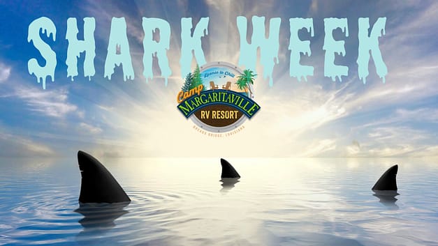 Fins Up Shark Week at Camp Margaritaville