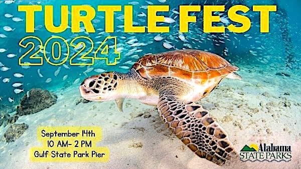 Turtle Fest