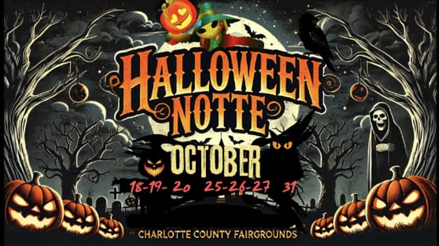 Halloween Notte