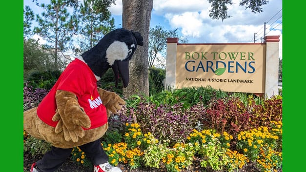 Wawa Free Summer Fun Days at Bok Tower Gardens
