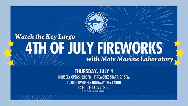 Key Largo 4th of July Fireworks with Mote