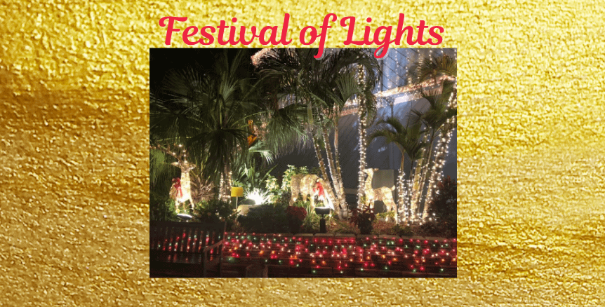 Festival of Lights – Punta Gorda Festival of Lights – Punta Gorda